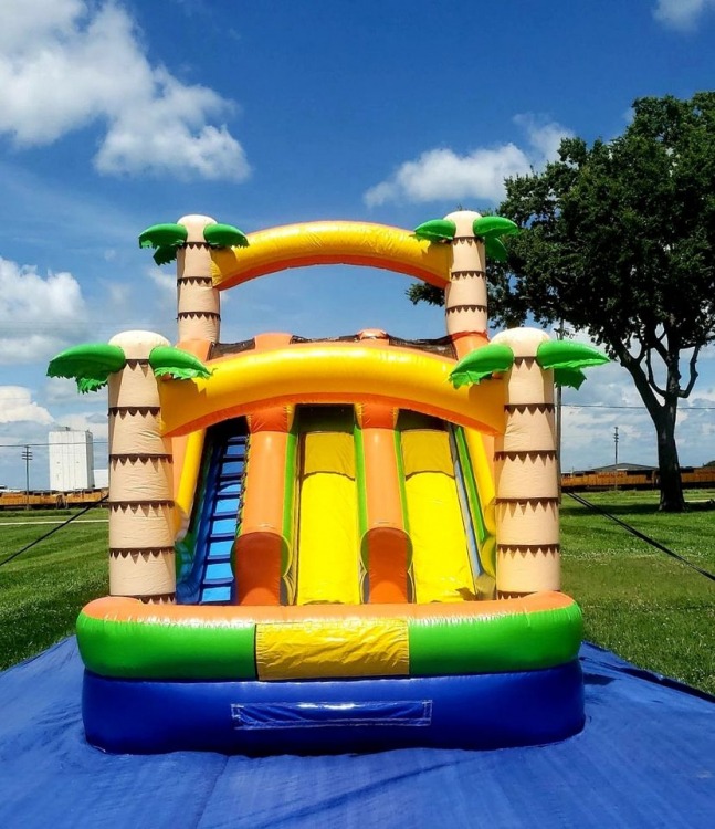 ADVENTURE ISLAND WATER SLIDE