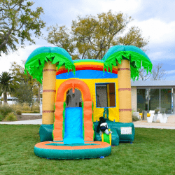 Tropical20Breeze202 140749809 Tropical Breeze Combo Castle w/Pool